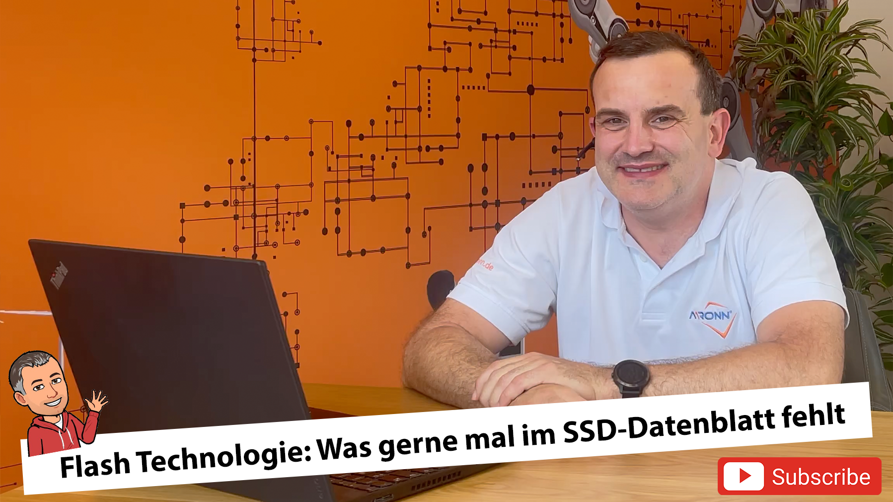 You are currently viewing Flash Technologie: Was gerne mal im SSD-Datenblatt fehlt
